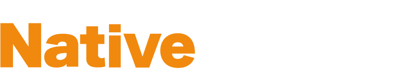Las clases de conversación en línea son nativecamps