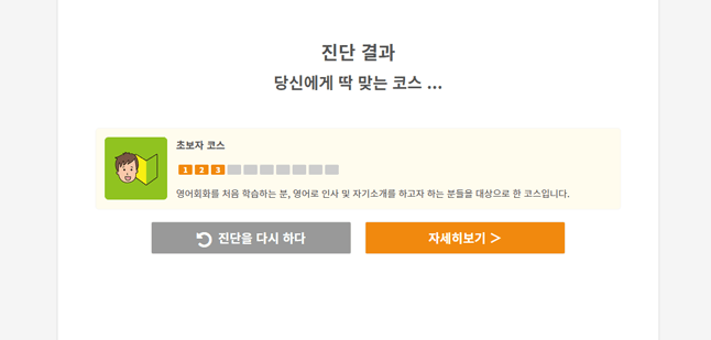 진단 결과