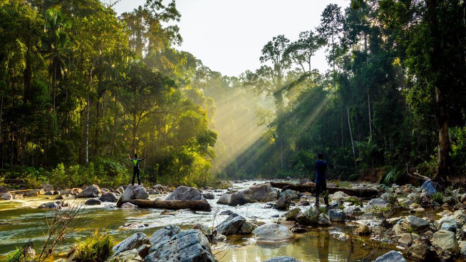 Taman Negara