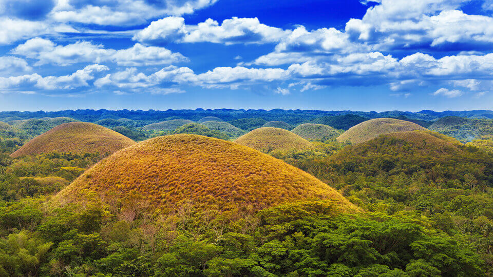 Bohol Island